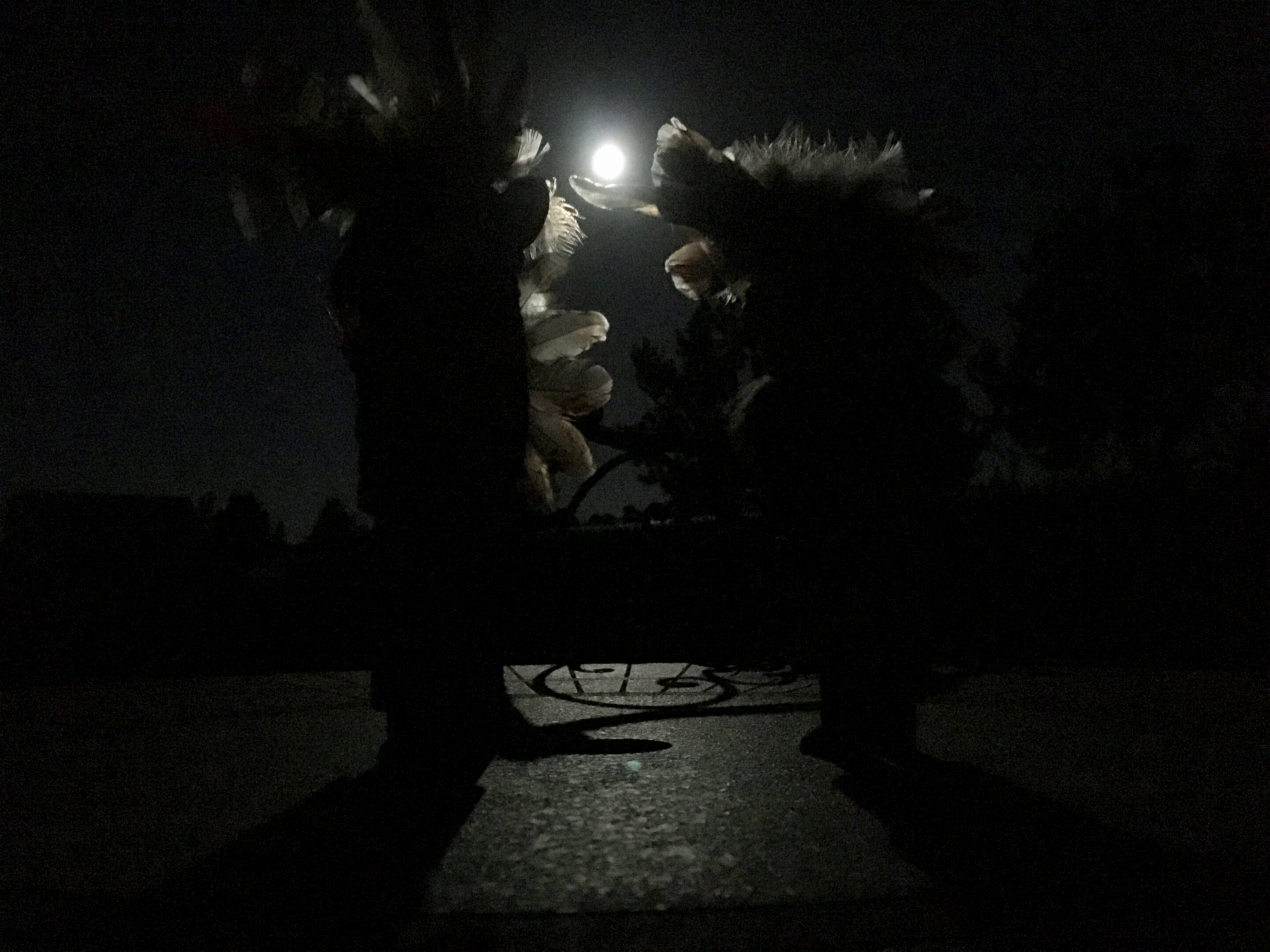 Katsina, Sedona, Full moon, moonlight