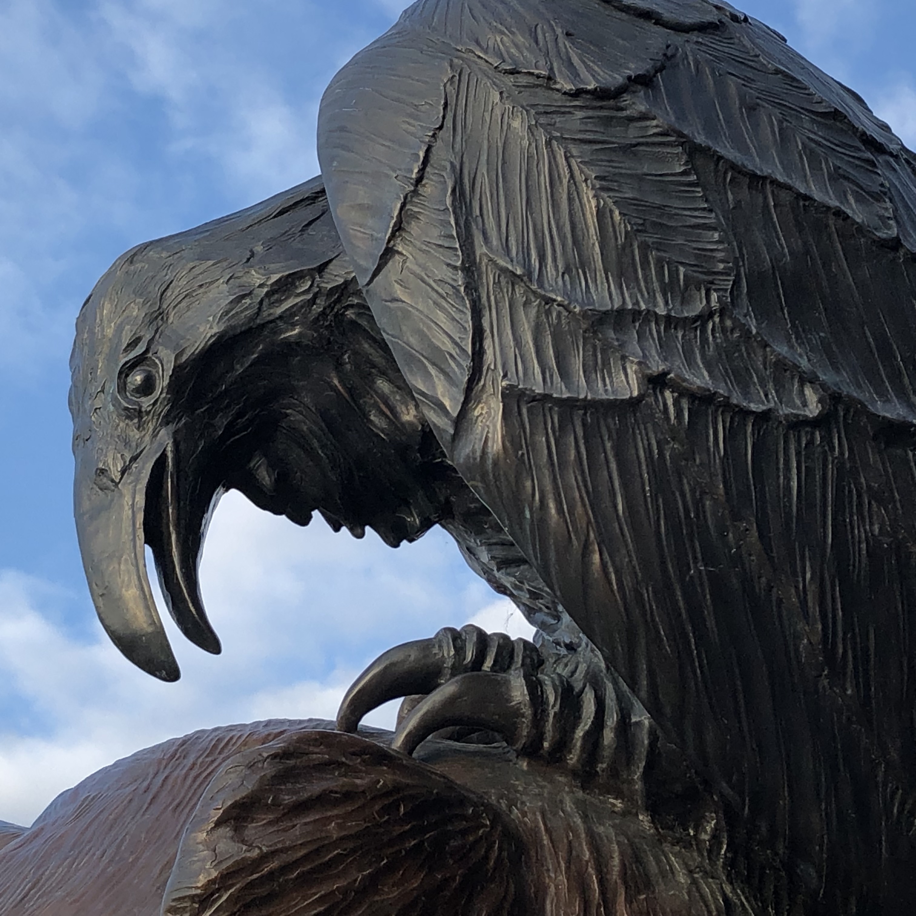 alaska RSSC glaciers UnitedAirlines Airaway Seward Hubbardglacier cruising adventuresatsea LSBerthelsen Linda Berthelsen blog blogger mystic HÃ¤lingTemplar VoyageTemplarGuardian Nightreads nightstandreads bedsidereads goodreads visionaryfiction fantasy historicfiction nofear nolimits
